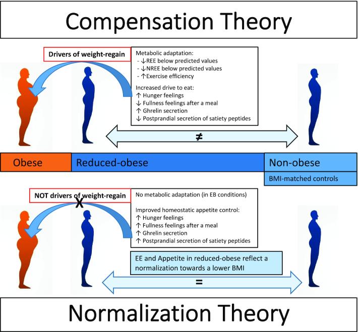 https://cdn.ncbi.nlm.nih.gov/pmc/blobs/4f20/7657332/d24a15b931e7/nqaa243fig1.jpg
