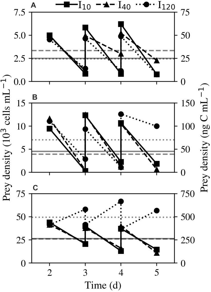https://cdn.ncbi.nlm.nih.gov/pmc/blobs/4f20/8245785/944f0844b9f4/fmicb-12-642600-g001.jpg