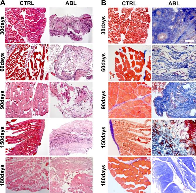 https://cdn.ncbi.nlm.nih.gov/pmc/blobs/4f21/10388508/cbc8ff22f8c5/13062_2023_399_Fig4_HTML.jpg