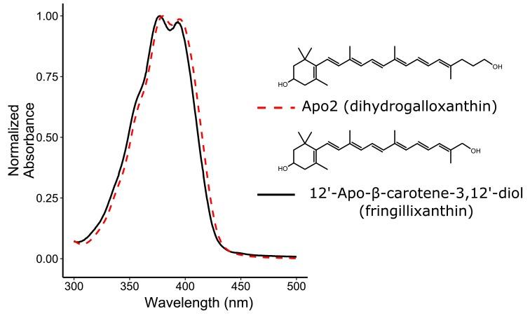 https://cdn.ncbi.nlm.nih.gov/pmc/blobs/4f21/4947394/190d6552a22c/elife-15675-fig2-figsupp1.jpg