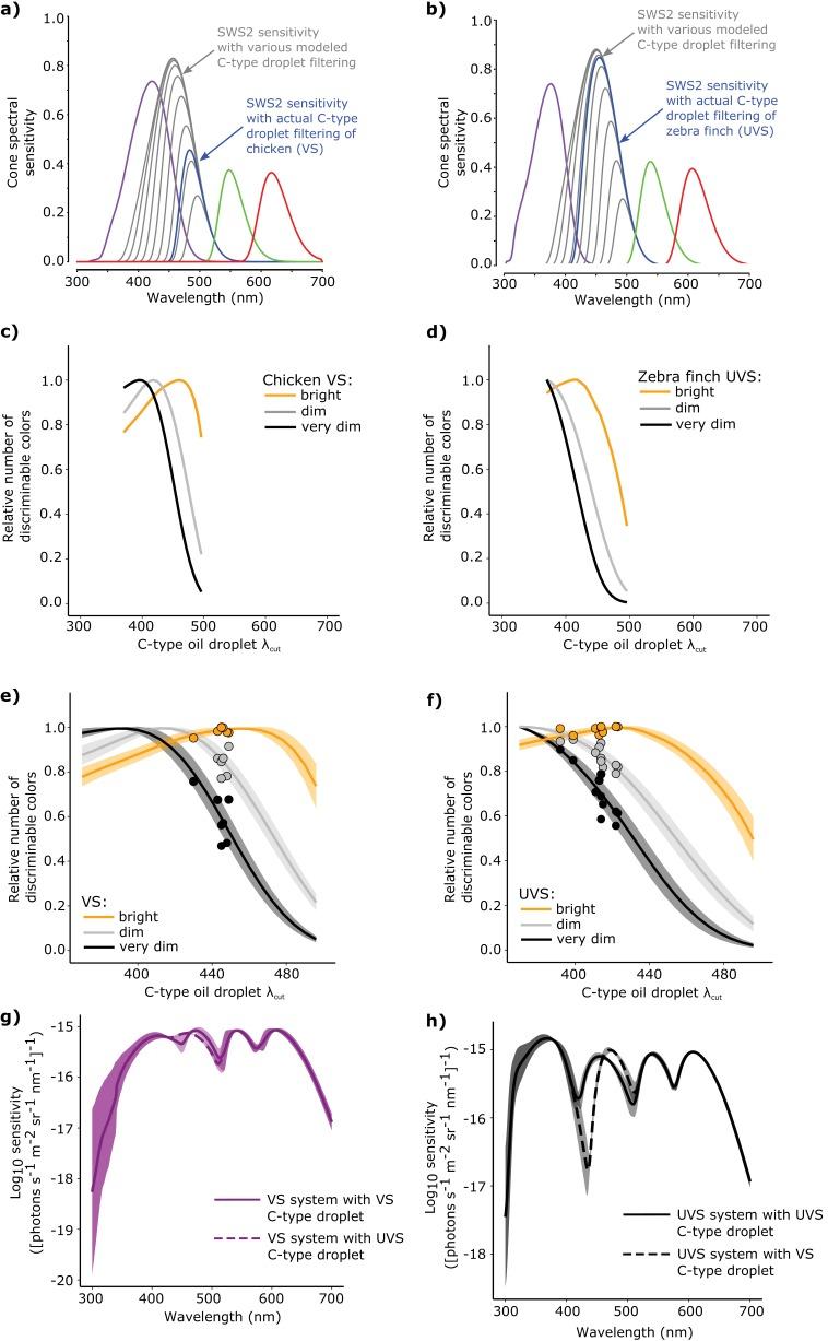 https://cdn.ncbi.nlm.nih.gov/pmc/blobs/4f21/4947394/c716a16de69d/elife-15675-fig6.jpg