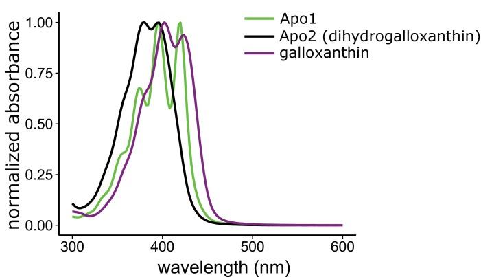 https://cdn.ncbi.nlm.nih.gov/pmc/blobs/4f21/4947394/da3624f60444/elife-15675-fig2-figsupp2.jpg