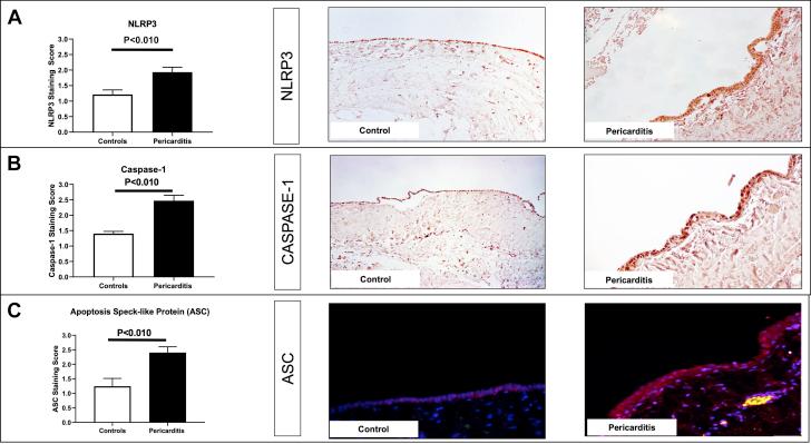 https://cdn.ncbi.nlm.nih.gov/pmc/blobs/4f27/7907621/c3bbda0dff77/gr2.jpg