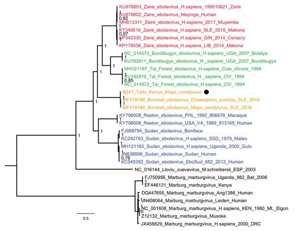 https://cdn.ncbi.nlm.nih.gov/pmc/blobs/4f28/6478230/a90df02c3e36/18-1666-F2.jpg