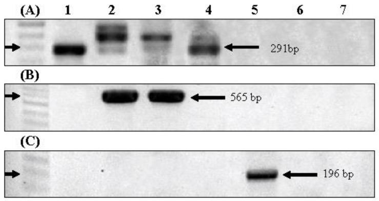 https://cdn.ncbi.nlm.nih.gov/pmc/blobs/4f29/5876989/13cfef0a9a04/ijerph-15-00444-g003.jpg