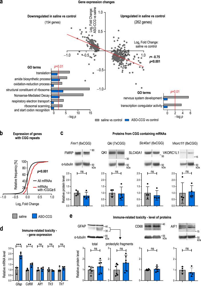 https://cdn.ncbi.nlm.nih.gov/pmc/blobs/4f29/7904788/6b4ba6c92b7e/41467_2021_21021_Fig5_HTML.jpg