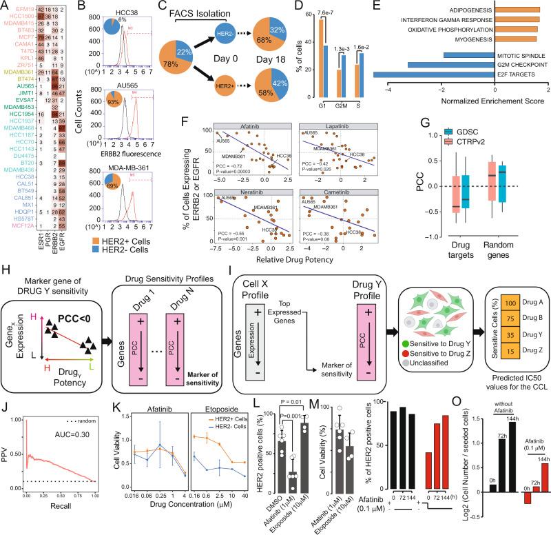 https://cdn.ncbi.nlm.nih.gov/pmc/blobs/4f29/8971486/192c25c12670/41467_2022_29358_Fig3_HTML.jpg