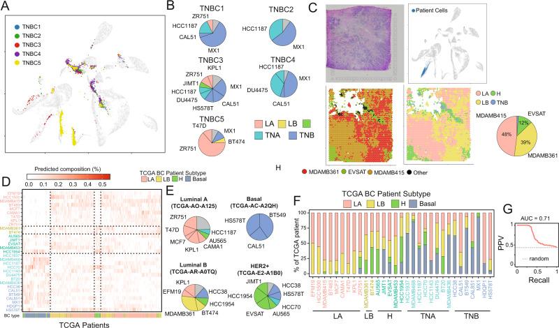 https://cdn.ncbi.nlm.nih.gov/pmc/blobs/4f29/8971486/4f2543659556/41467_2022_29358_Fig2_HTML.jpg