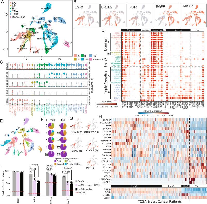 https://cdn.ncbi.nlm.nih.gov/pmc/blobs/4f29/8971486/a1b2ffcb9234/41467_2022_29358_Fig1_HTML.jpg