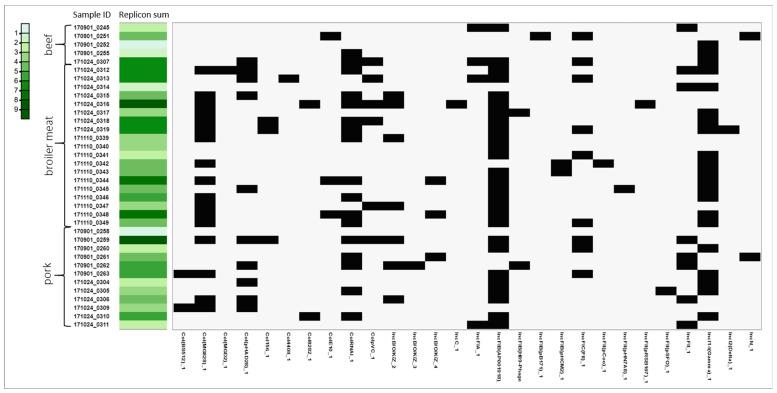 https://cdn.ncbi.nlm.nih.gov/pmc/blobs/4f2b/11357031/4e77984abe15/pathogens-13-00700-g003.jpg