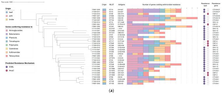 https://cdn.ncbi.nlm.nih.gov/pmc/blobs/4f2b/11357031/596211211d83/pathogens-13-00700-g001a.jpg