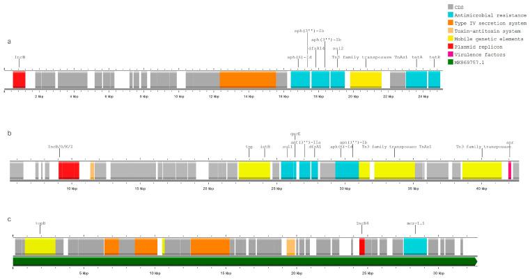 https://cdn.ncbi.nlm.nih.gov/pmc/blobs/4f2b/11357031/d675d549ec99/pathogens-13-00700-g005.jpg