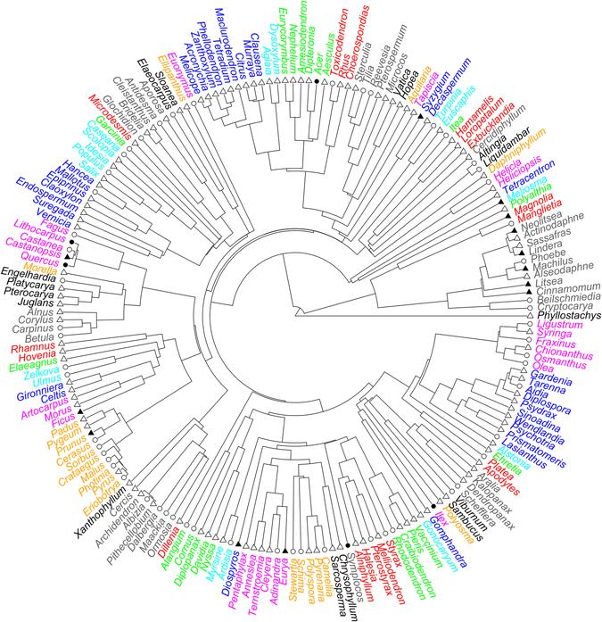 https://cdn.ncbi.nlm.nih.gov/pmc/blobs/4f2b/5514081/5791b61c0503/41598_2017_4679_Fig1_HTML.jpg