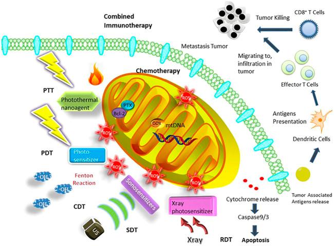 https://cdn.ncbi.nlm.nih.gov/pmc/blobs/4f2b/8652136/70b3aa033e08/fbioe-09-786621-g001.jpg