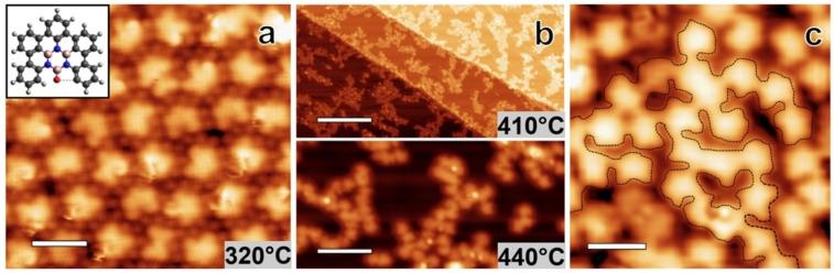 https://cdn.ncbi.nlm.nih.gov/pmc/blobs/4f2e/11632406/45103ee1ee48/CHEM-30-e202402492-g002.jpg
