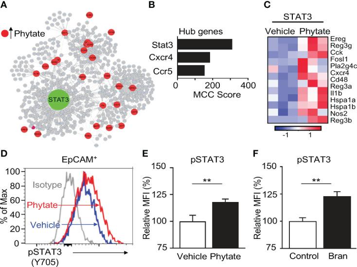 https://cdn.ncbi.nlm.nih.gov/pmc/blobs/4f2e/9627201/a611414713c0/fimmu-13-952994-g005.jpg