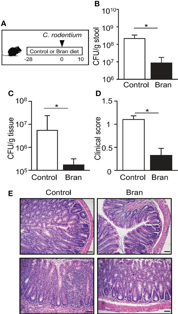 https://cdn.ncbi.nlm.nih.gov/pmc/blobs/4f2e/9627201/b0aa28dd6d53/fimmu-13-952994-g001.jpg