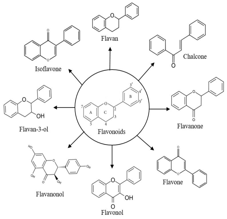 https://cdn.ncbi.nlm.nih.gov/pmc/blobs/4f30/9504311/a16fb8d68035/molecules-27-06120-g003.jpg