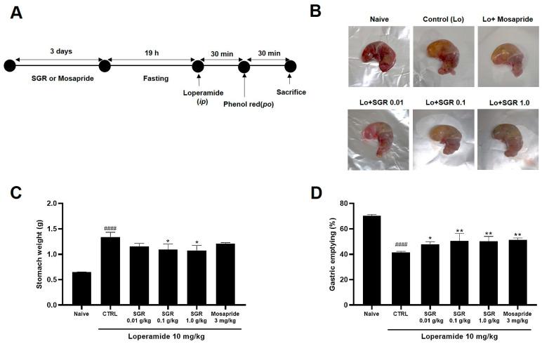 https://cdn.ncbi.nlm.nih.gov/pmc/blobs/4f31/10096900/b28f980b6068/plants-12-01509-g007.jpg