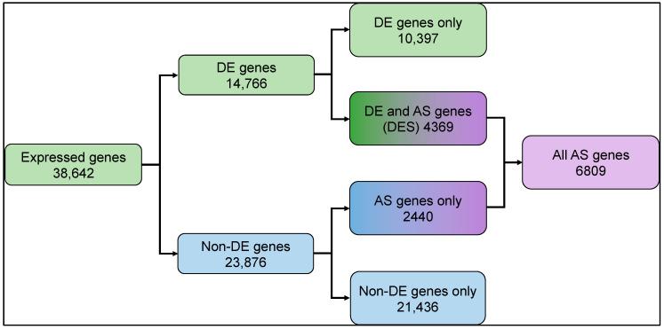 https://cdn.ncbi.nlm.nih.gov/pmc/blobs/4f31/11353317/1cf8e57b489b/genes-15-01072-g001.jpg