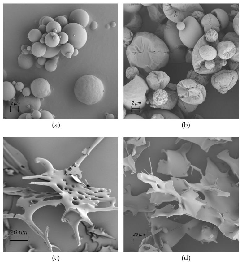 https://cdn.ncbi.nlm.nih.gov/pmc/blobs/4f33/11206520/64bda487d5c9/pharmaceutics-16-00694-g005.jpg