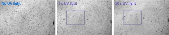 https://cdn.ncbi.nlm.nih.gov/pmc/blobs/4f34/7940161/6e689fb4260d/10189_2020_6_Fig7_HTML.jpg