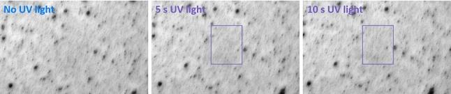 https://cdn.ncbi.nlm.nih.gov/pmc/blobs/4f34/7940161/7d223cb4f56b/10189_2020_6_Fig6_HTML.jpg