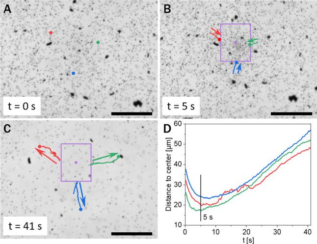 https://cdn.ncbi.nlm.nih.gov/pmc/blobs/4f34/7940161/d6897b6bbfbd/10189_2020_6_Fig3_HTML.jpg