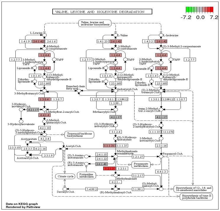 https://cdn.ncbi.nlm.nih.gov/pmc/blobs/4f36/10217537/f1ba691420c6/cimb-45-00264-g005.jpg