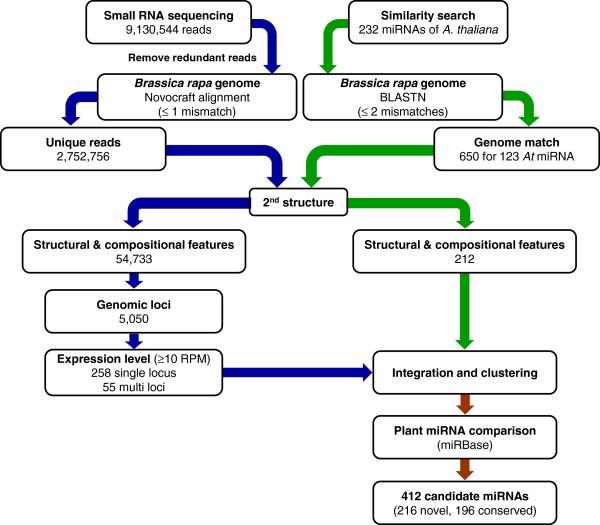 https://cdn.ncbi.nlm.nih.gov/pmc/blobs/4f36/3554443/b81e7f1b7c79/1471-2229-12-218-1.jpg