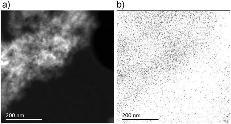 https://cdn.ncbi.nlm.nih.gov/pmc/blobs/4f38/5818659/66e80c06d3e2/41598_2018_21670_Fig9_HTML.jpg