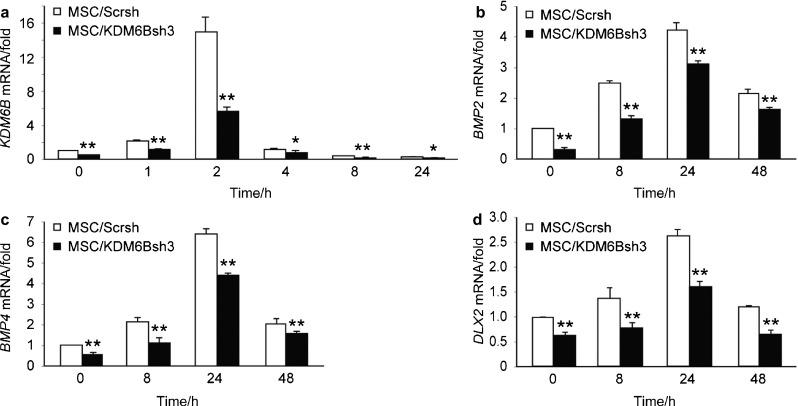 https://cdn.ncbi.nlm.nih.gov/pmc/blobs/4f39/3967319/8424efd9f015/ijos201377f2.jpg