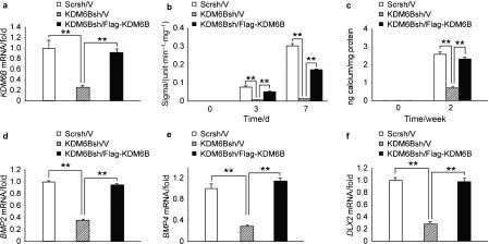 https://cdn.ncbi.nlm.nih.gov/pmc/blobs/4f39/3967319/b273d8b37017/ijos201377f3.jpg