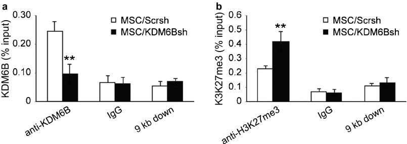 https://cdn.ncbi.nlm.nih.gov/pmc/blobs/4f39/3967319/e25680d8983a/ijos201377f4.jpg