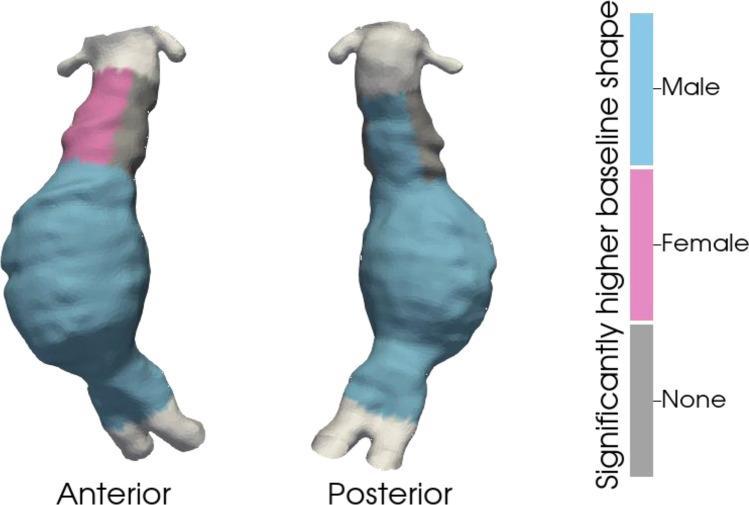 https://cdn.ncbi.nlm.nih.gov/pmc/blobs/4f3a/11484807/13d602c08fdd/41598_2024_75334_Fig2_HTML.jpg