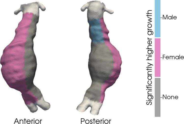 https://cdn.ncbi.nlm.nih.gov/pmc/blobs/4f3a/11484807/71f75571b7c8/41598_2024_75334_Fig3_HTML.jpg