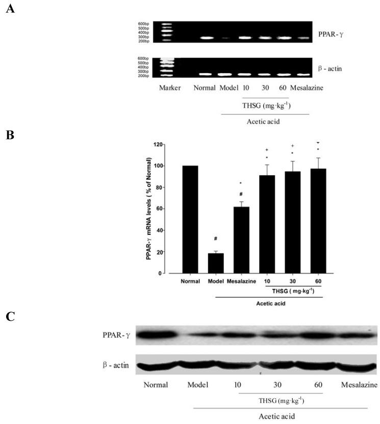 https://cdn.ncbi.nlm.nih.gov/pmc/blobs/4f3a/6264228/daa2f0c4c9a3/molecules-16-08552-g007a.jpg
