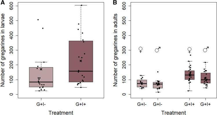 https://cdn.ncbi.nlm.nih.gov/pmc/blobs/4f3c/8803800/93a6eadf4414/442_2021_5086_Fig3_HTML.jpg