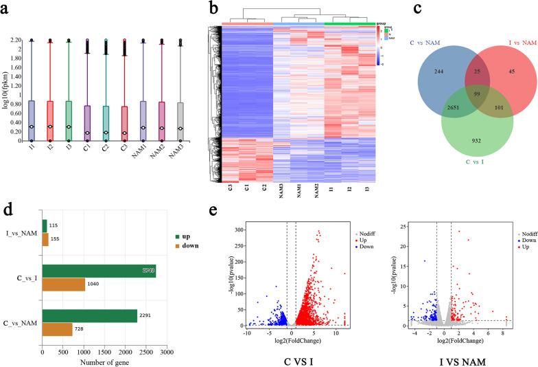 https://cdn.ncbi.nlm.nih.gov/pmc/blobs/4f3d/11227177/649d25079201/13071_2024_6370_Fig6_HTML.jpg