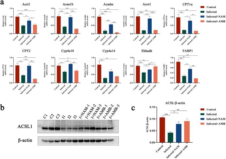 https://cdn.ncbi.nlm.nih.gov/pmc/blobs/4f3d/11227177/eb68fe4a987a/13071_2024_6370_Fig8_HTML.jpg
