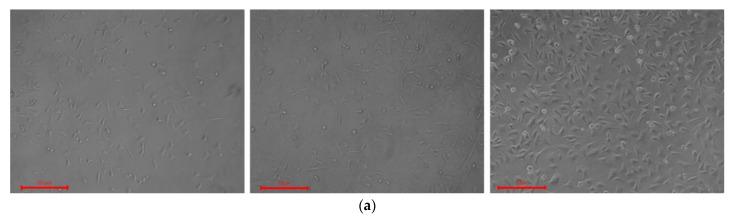 https://cdn.ncbi.nlm.nih.gov/pmc/blobs/4f3d/9861043/7ee2e5178354/nanomaterials-13-00236-g009a.jpg