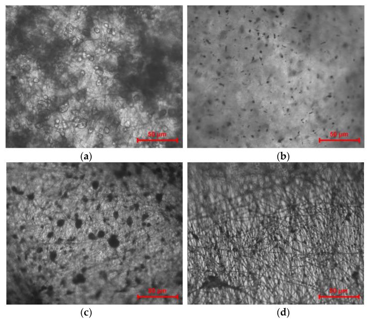 https://cdn.ncbi.nlm.nih.gov/pmc/blobs/4f3d/9861043/8c5d17a44b9e/nanomaterials-13-00236-g008.jpg