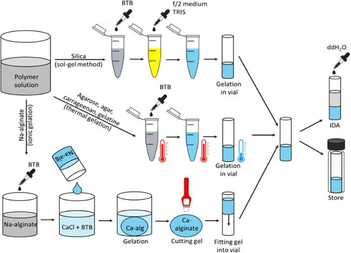 https://cdn.ncbi.nlm.nih.gov/pmc/blobs/4f3e/11910120/dc46c7ad7b65/gr1.jpg