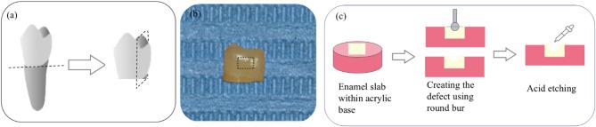 https://cdn.ncbi.nlm.nih.gov/pmc/blobs/4f3e/12181249/a0d5f131a009/41598_2025_6434_Fig1_HTML.jpg