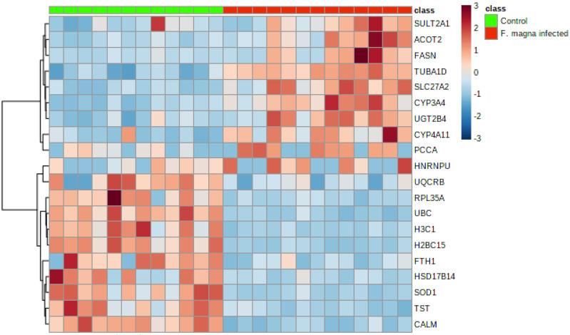 https://cdn.ncbi.nlm.nih.gov/pmc/blobs/4f3f/9786150/6aeffbaf7a2e/pathogens-11-01503-g003.jpg