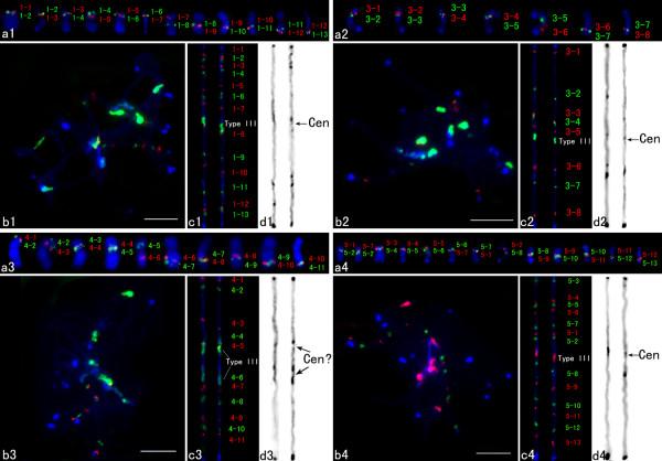 https://cdn.ncbi.nlm.nih.gov/pmc/blobs/4f42/3710503/0d630348c777/1471-2164-14-461-1.jpg