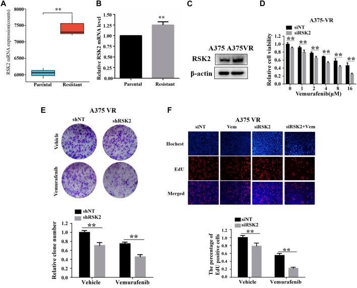 https://cdn.ncbi.nlm.nih.gov/pmc/blobs/4f42/9541206/21578804aaa8/fphar-13-950571-g004.jpg