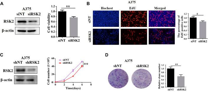 https://cdn.ncbi.nlm.nih.gov/pmc/blobs/4f42/9541206/21af0c0f9dcb/fphar-13-950571-g002.jpg