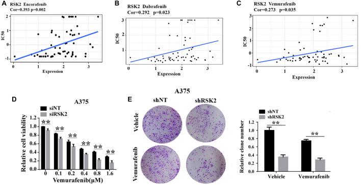 https://cdn.ncbi.nlm.nih.gov/pmc/blobs/4f42/9541206/387c40ce97fa/fphar-13-950571-g003.jpg