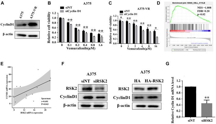 https://cdn.ncbi.nlm.nih.gov/pmc/blobs/4f42/9541206/80d3fafe78c7/fphar-13-950571-g005.jpg